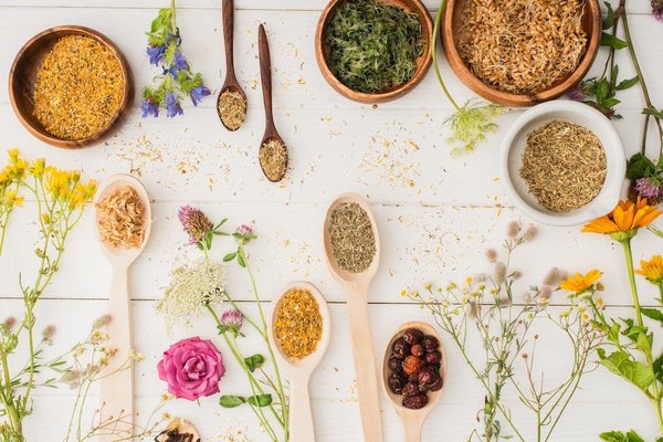 L'importance d'une formation accréditée en naturopathie
