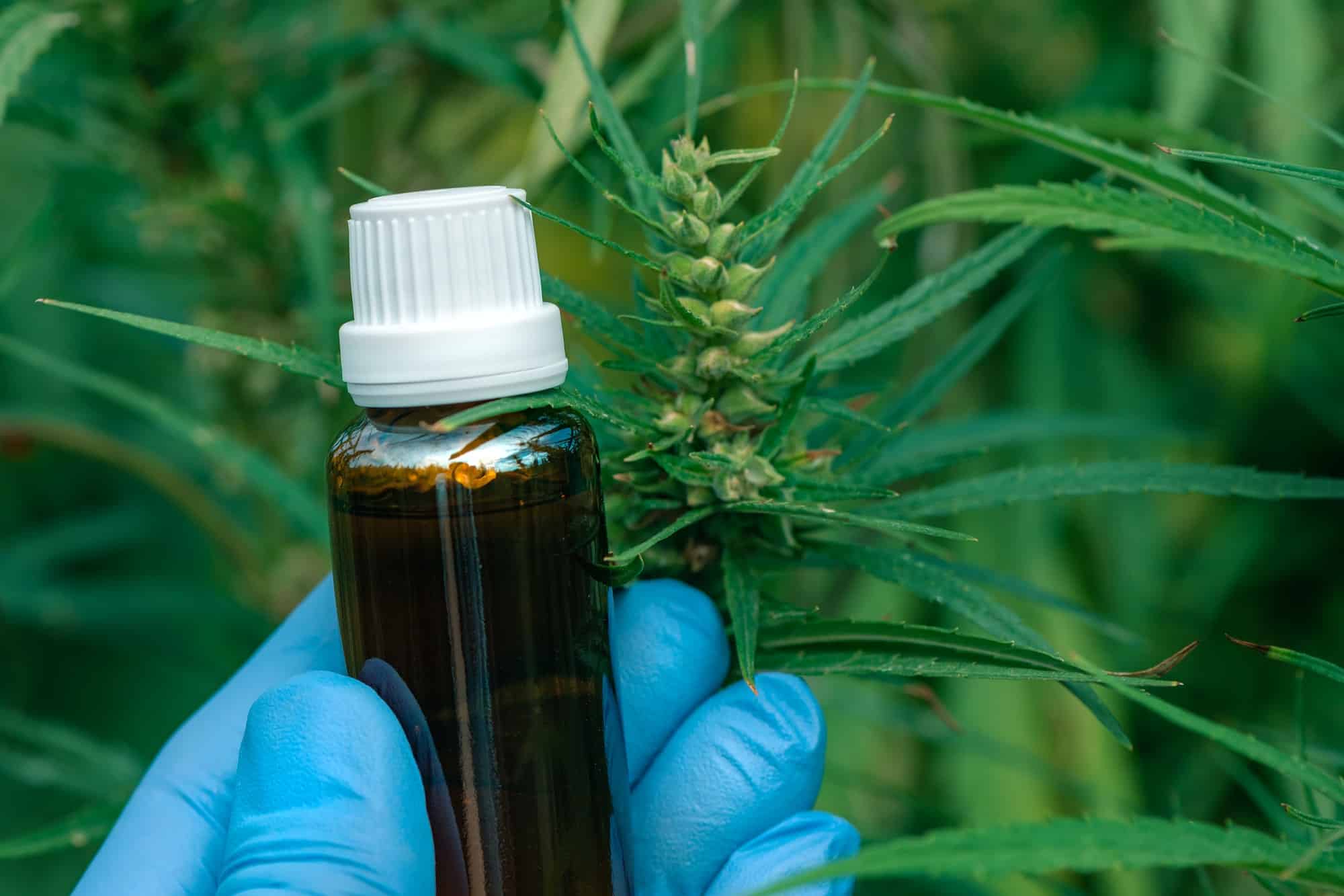 Est-il possible d’acheter du CBD dans les pharmacies françaises ?