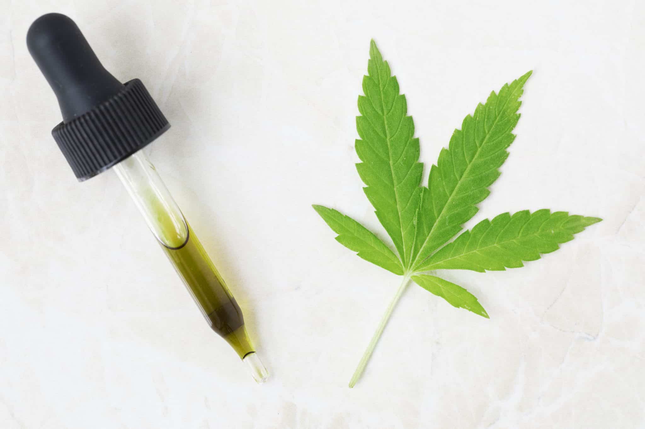 Vente de CBD en ligne : l’essentiel à savoir pour se lancer